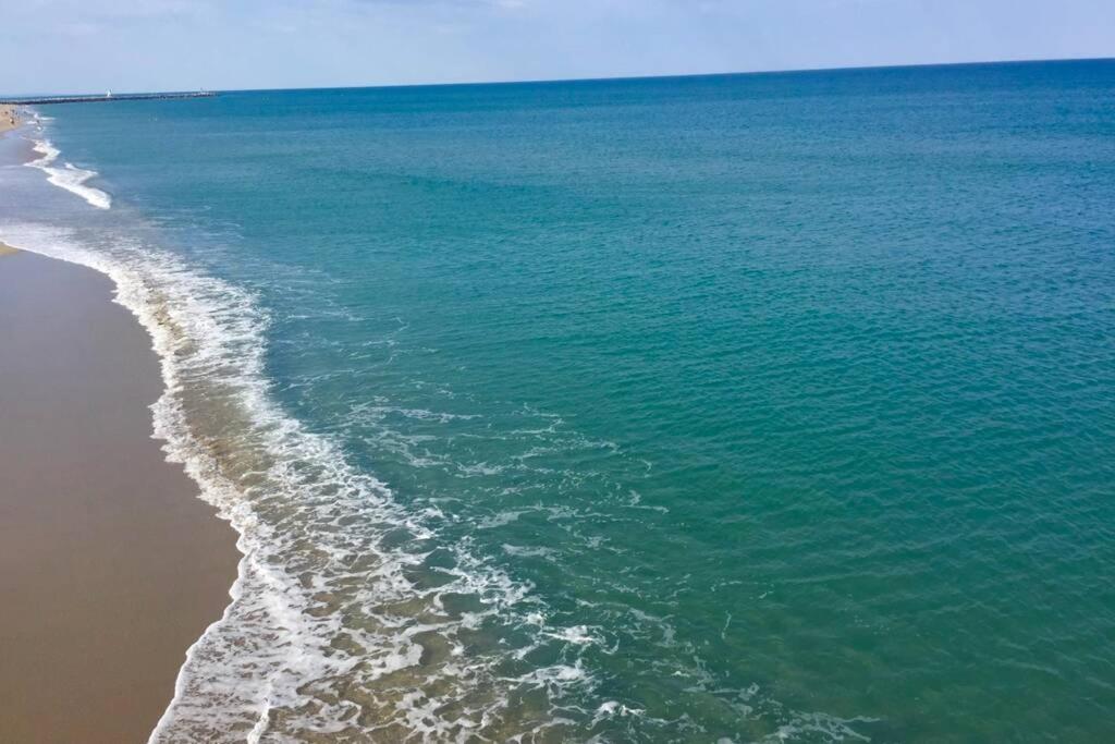 Barcaresa-La Perle Vue Mer Pieds Dans L'Eau Clim Wifi Leucate Eksteriør billede
