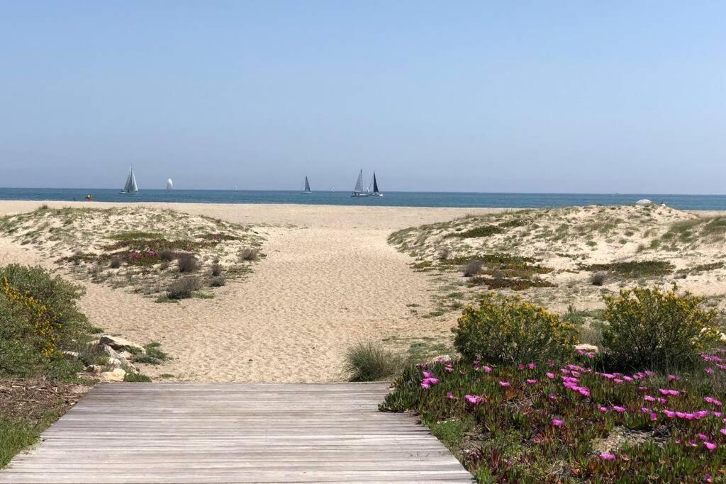 Barcaresa-La Perle Vue Mer Pieds Dans L'Eau Clim Wifi Leucate Eksteriør billede